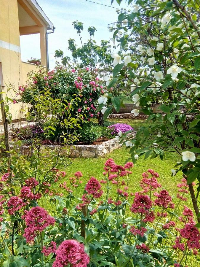 Horizont Apartman Kukci Esterno foto